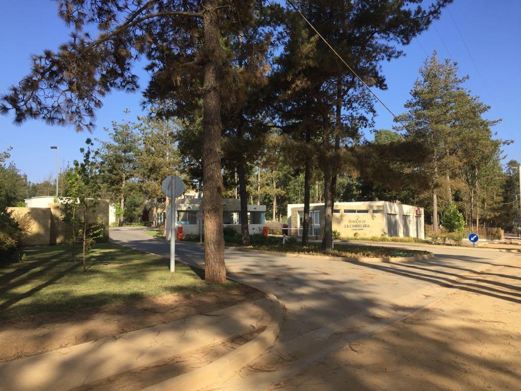 Departamento Algarrobo Ngoại thất bức ảnh